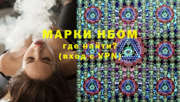 индика Алзамай