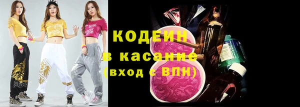 индика Алзамай