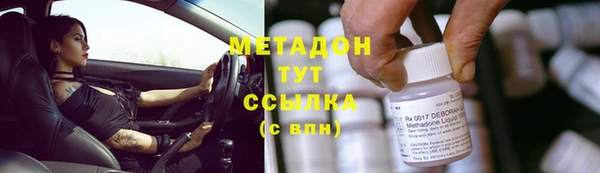 индика Алзамай