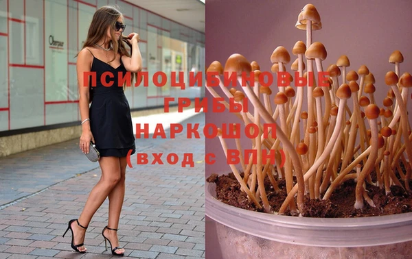 индика Алзамай