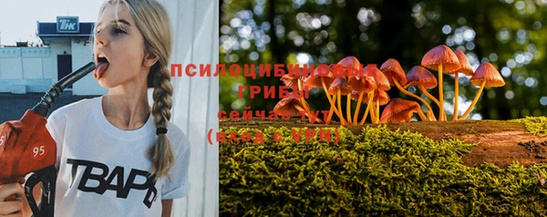 индика Алзамай