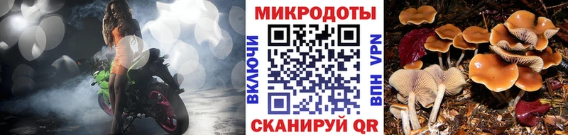 закладки  Салехард  Галлюциногенные грибы Psilocybine cubensis 